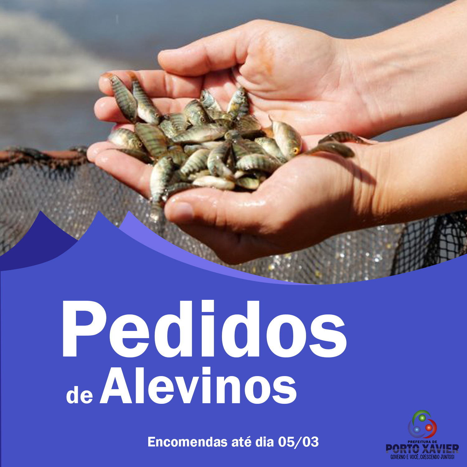 ENCOMENDA DE ALEVINOS